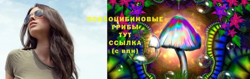 сайты даркнета состав  Пыть-Ях  Псилоцибиновые грибы MAGIC MUSHROOMS 